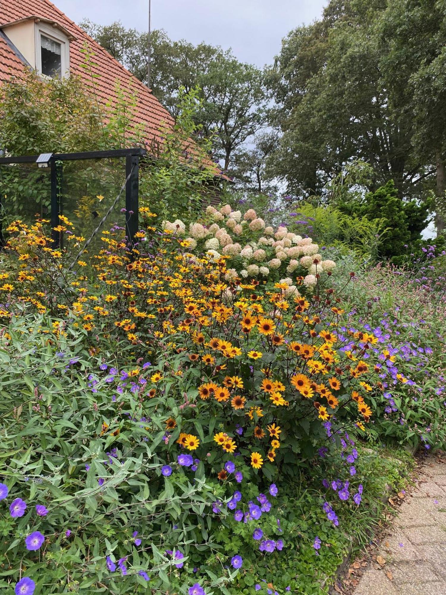 De Viersprong Bed & Breakfast Laren  Luaran gambar